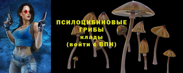кокаин Белокуриха