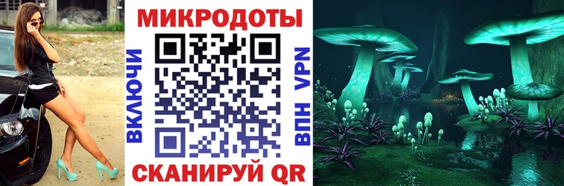 Псилоцибиновые грибы прущие грибы  Видное 