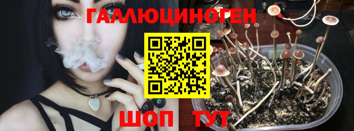 Галлюциногенные грибы Magic Shrooms  Вход с VPN  Видное 